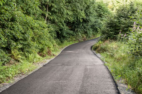 Asphalt Driveway Replacement in Orange